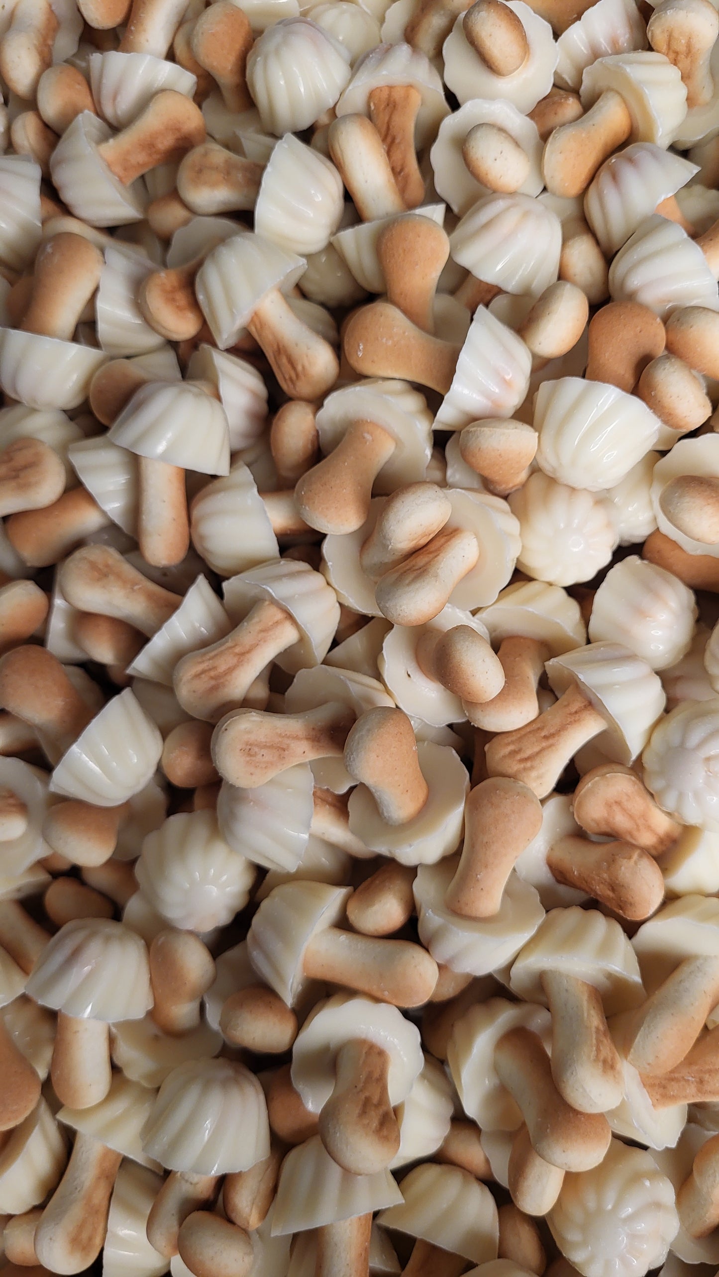 Champignons chocolat blanc par 15