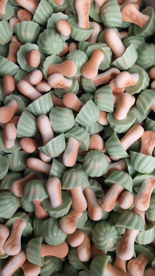 Champignons pistache par 15